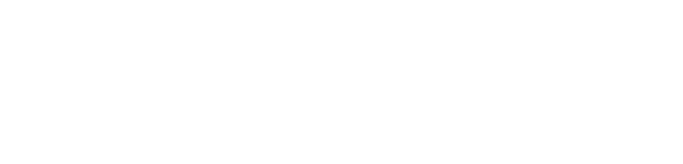 EXTRAVOX